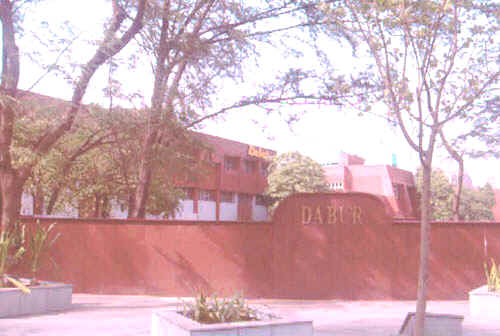 dabur.jpg (23780 bytes)