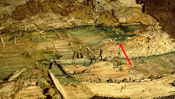 02.jpg (47037 bytes)