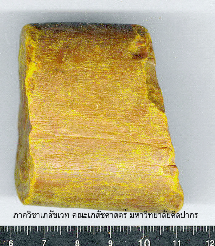 gamboge-2.jpg (390069 bytes)