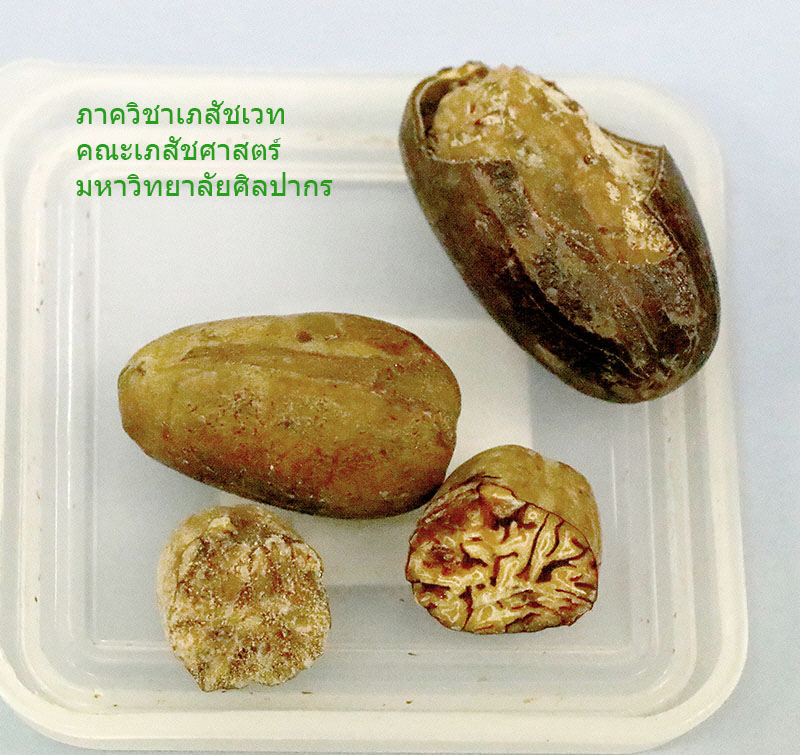 nutmeg-1.jpg (168797 bytes)